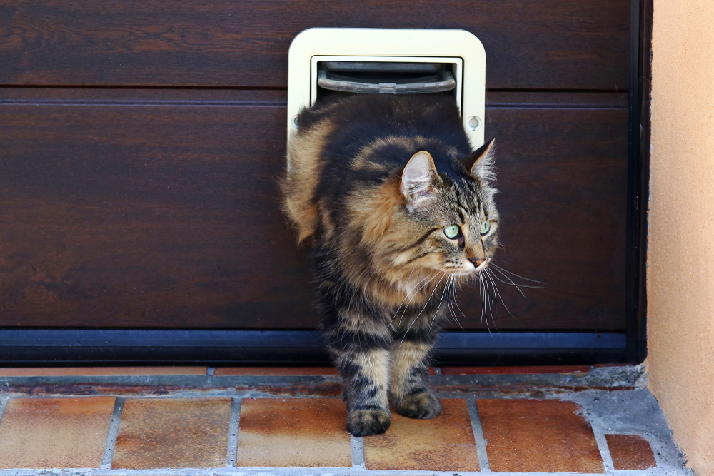 Врезные двери для кошек и собак